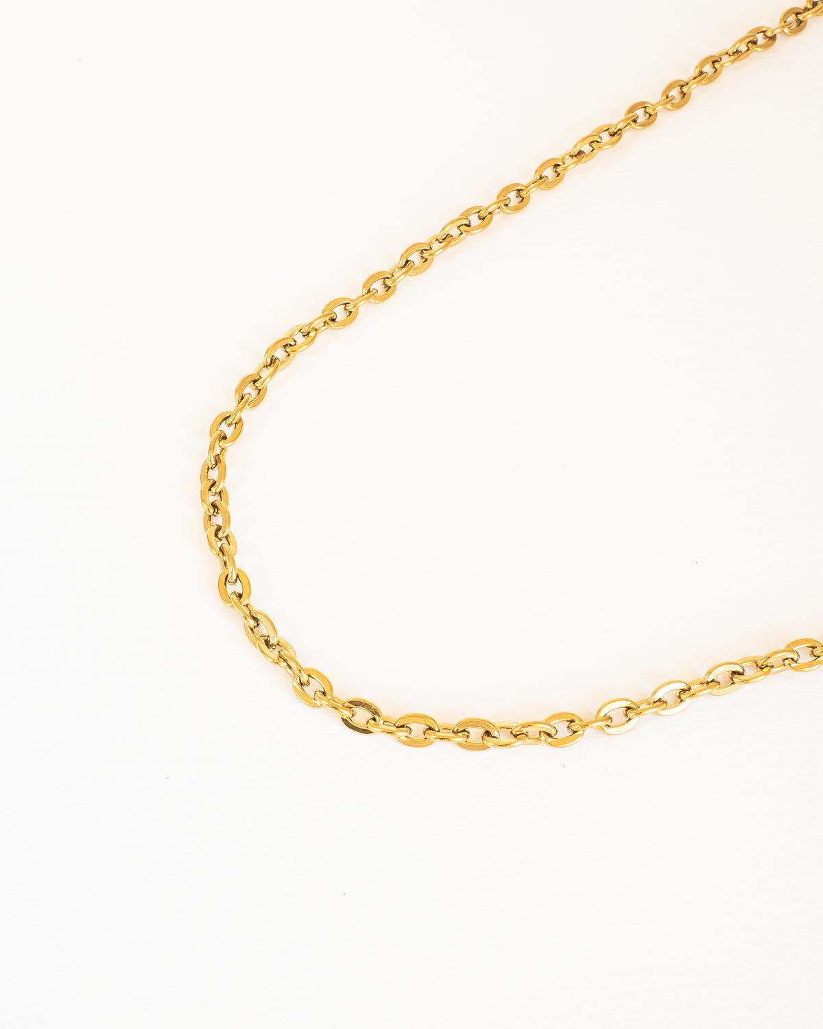 Stylish Gold Plated Chain Choker Necklace in Stainless Steel - Ollijewelry