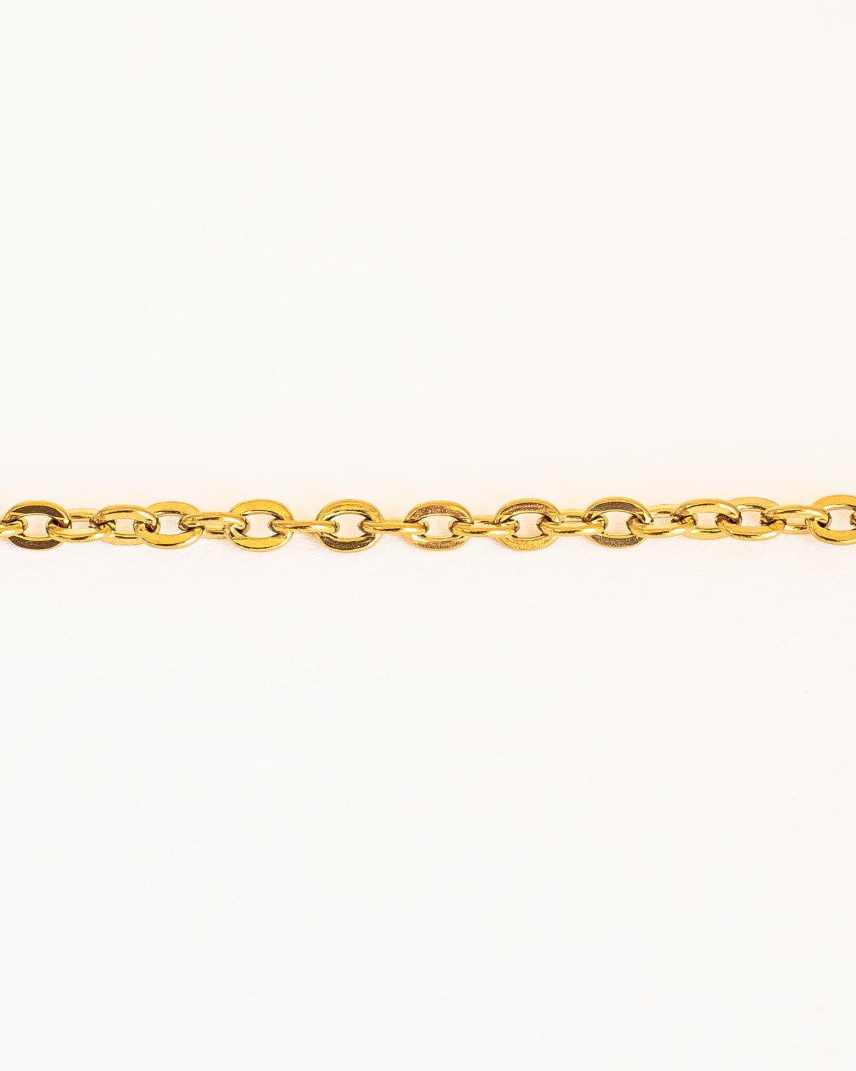 Stylish Gold Plated Chain Choker Necklace in Stainless Steel - Ollijewelry