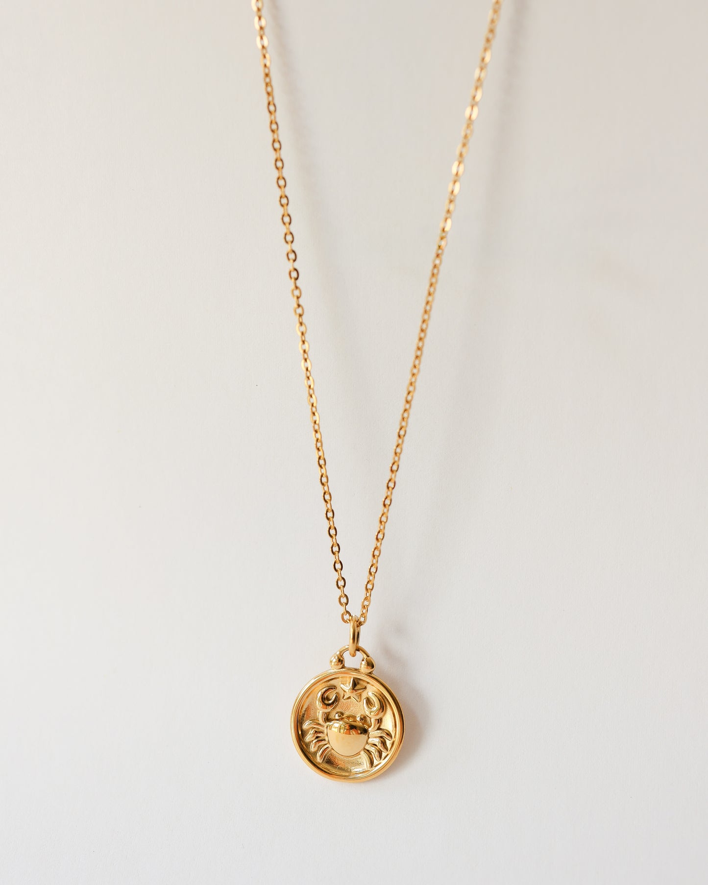 Stainless Steel Zodiac Necklace – Celestial Zodiac Sign Pendant