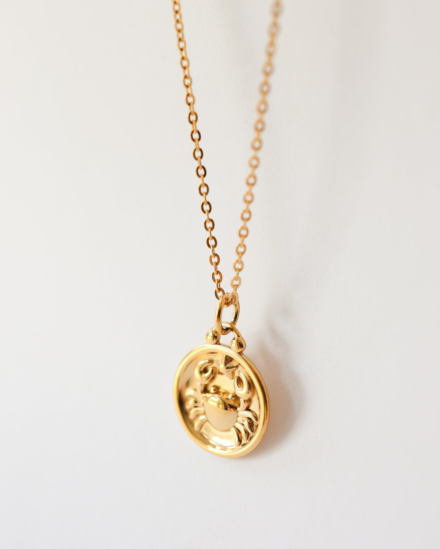 Stainless Steel Zodiac Necklace – Celestial Zodiac Sign Pendant