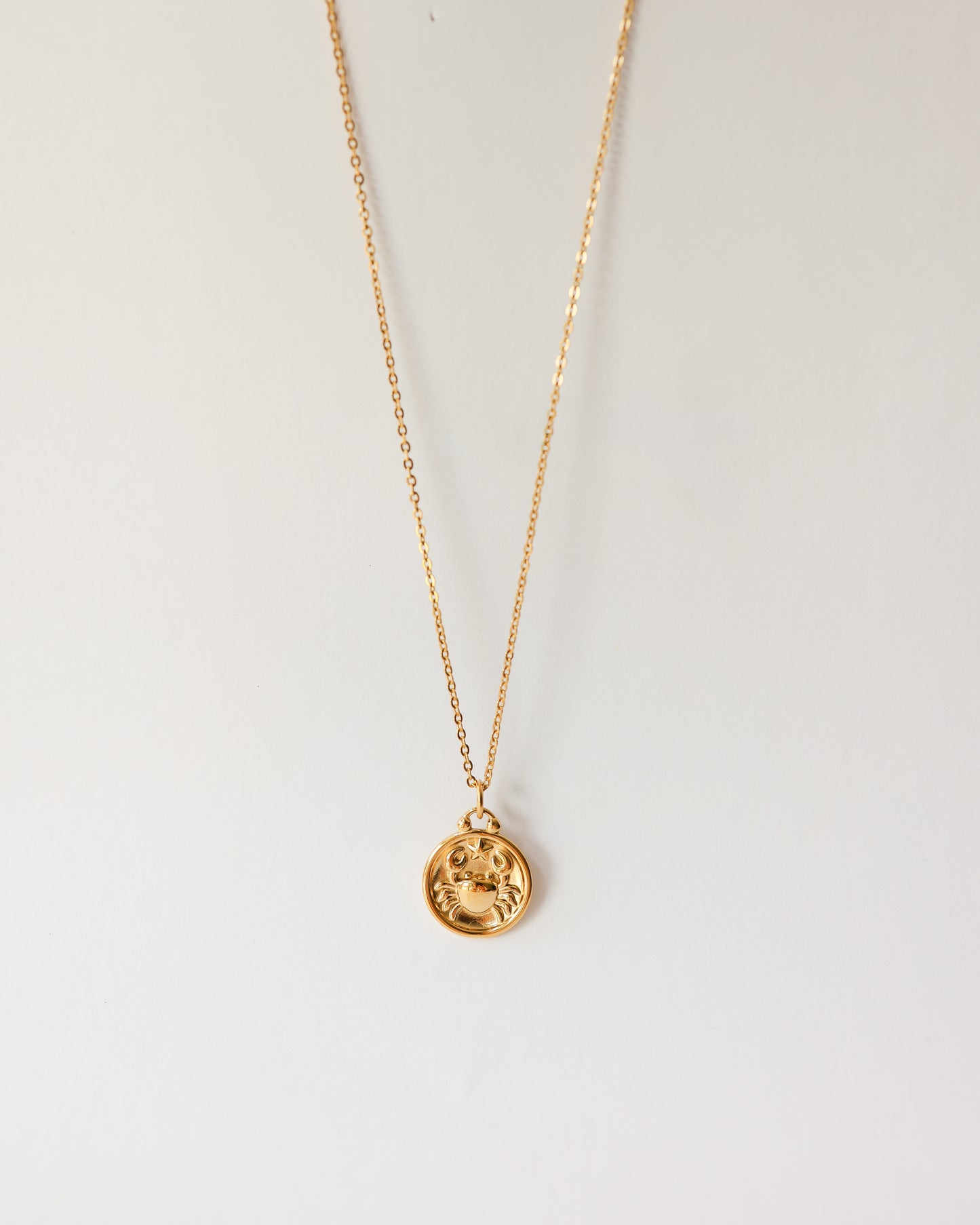 Stainless Steel Zodiac Necklace – Celestial Zodiac Sign Pendant