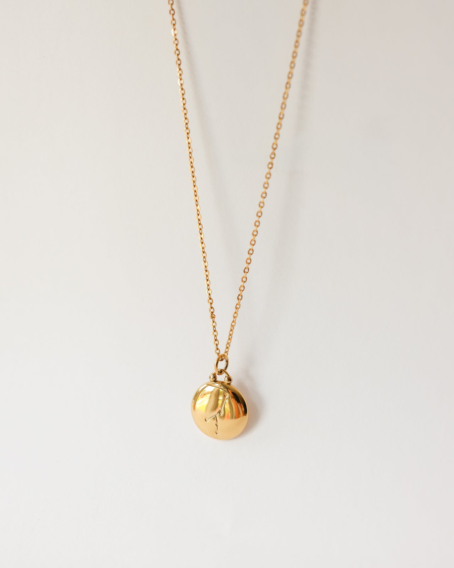 Stainless Steel Zodiac Necklace – Celestial Zodiac Sign Pendant