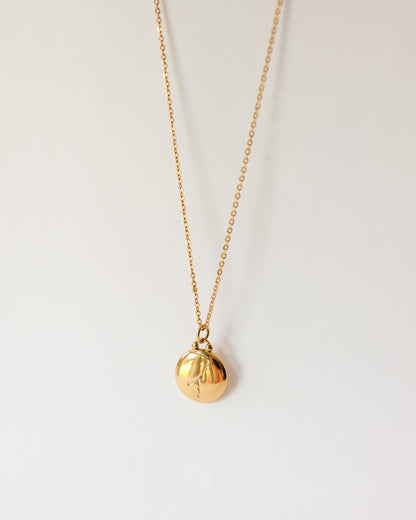 Stainless Steel Zodiac Necklace – Celestial Zodiac Sign Pendant