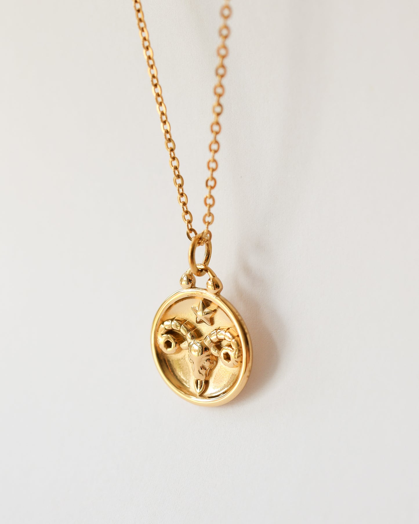 Stainless Steel Zodiac Necklace – Celestial Zodiac Sign Pendant