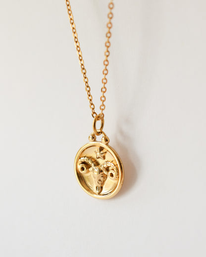 Stainless Steel Zodiac Necklace – Celestial Zodiac Sign Pendant