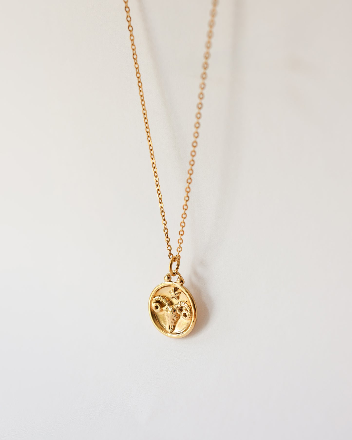 Stainless Steel Zodiac Necklace – Celestial Zodiac Sign Pendant