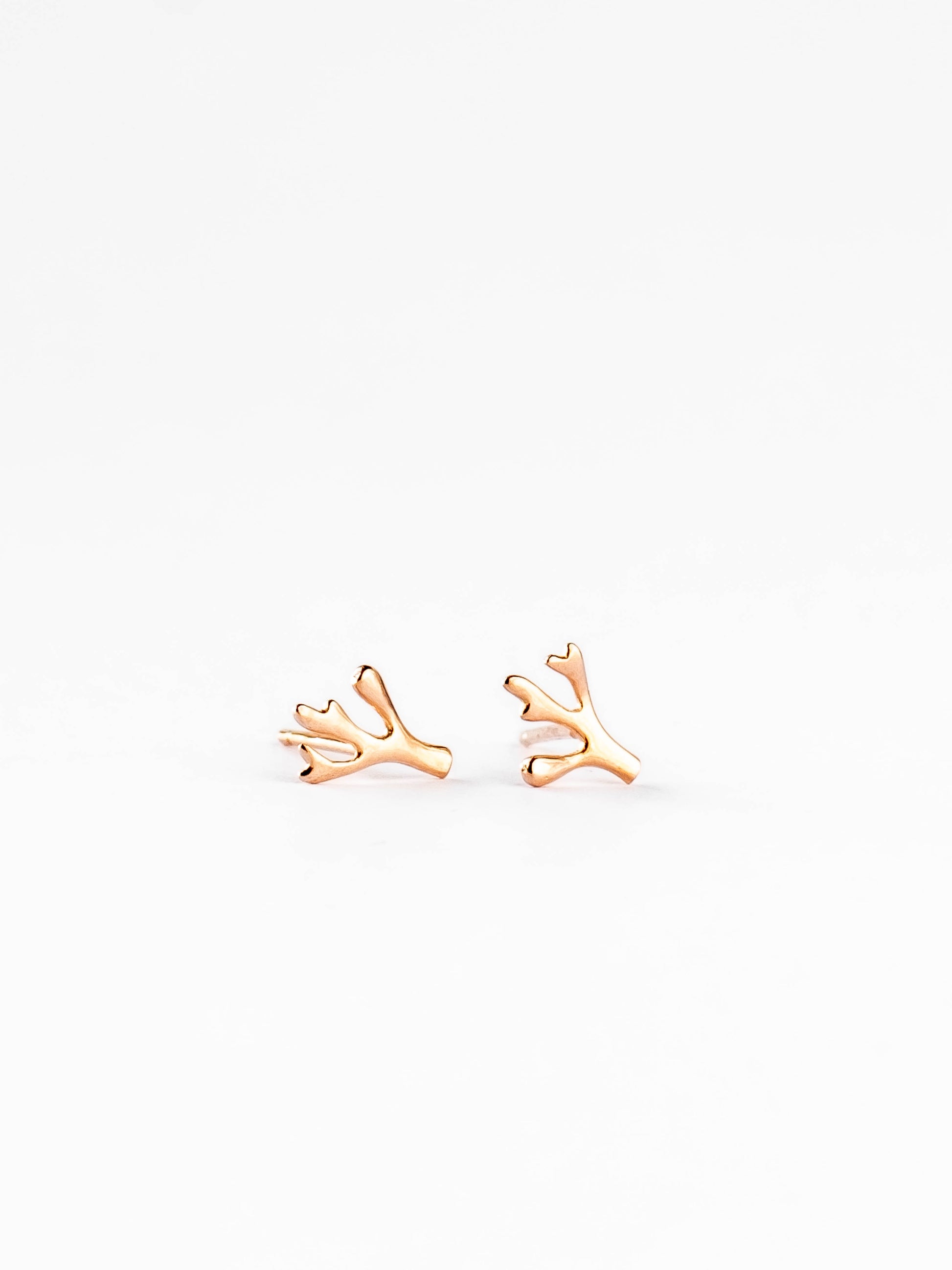 Tiny botanical rose gold earrings freeshipping - Ollijewelry