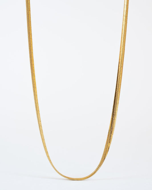 Bold Herringbone Chain Necklace in Stainless Steel - Ollijewelry