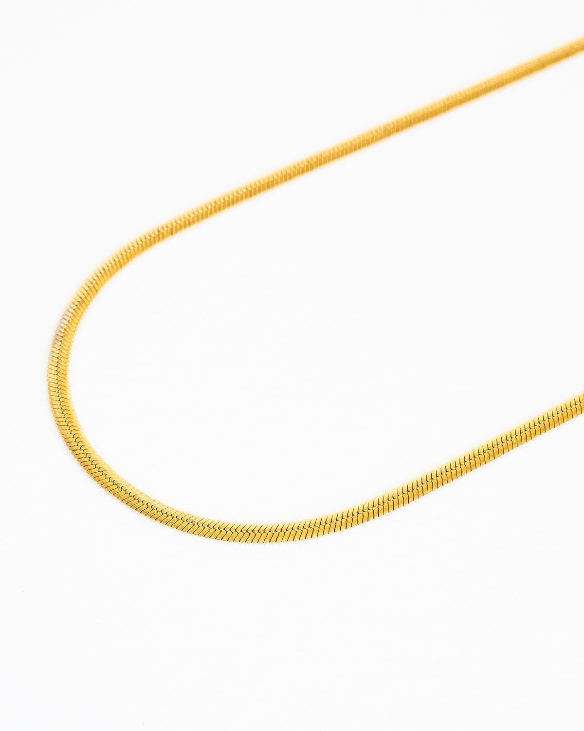 Bold Herringbone Chain Necklace in Stainless Steel - Ollijewelry