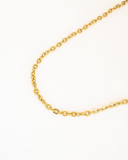 Stylish Gold Plated Chain Choker Necklace in Stainless Steel - Ollijewelry