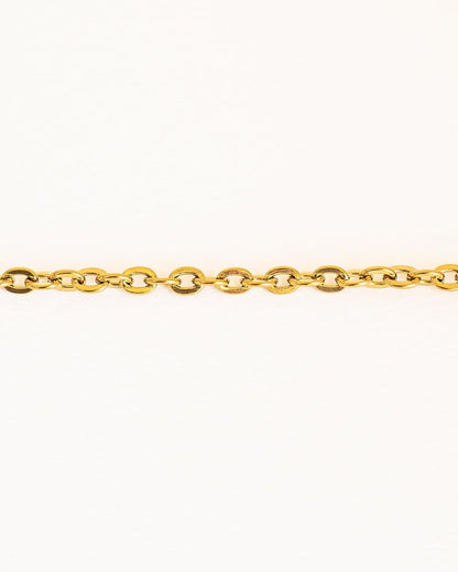 Stylish Gold Plated Chain Choker Necklace in Stainless Steel - Ollijewelry