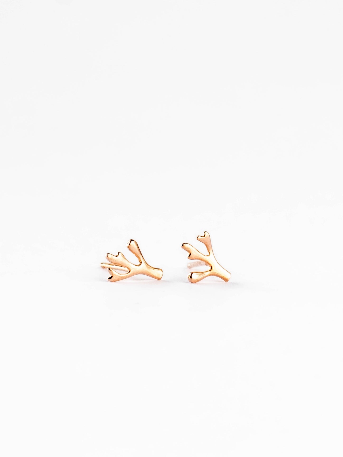 Tiny botanical rose gold earrings - Ollijewelry